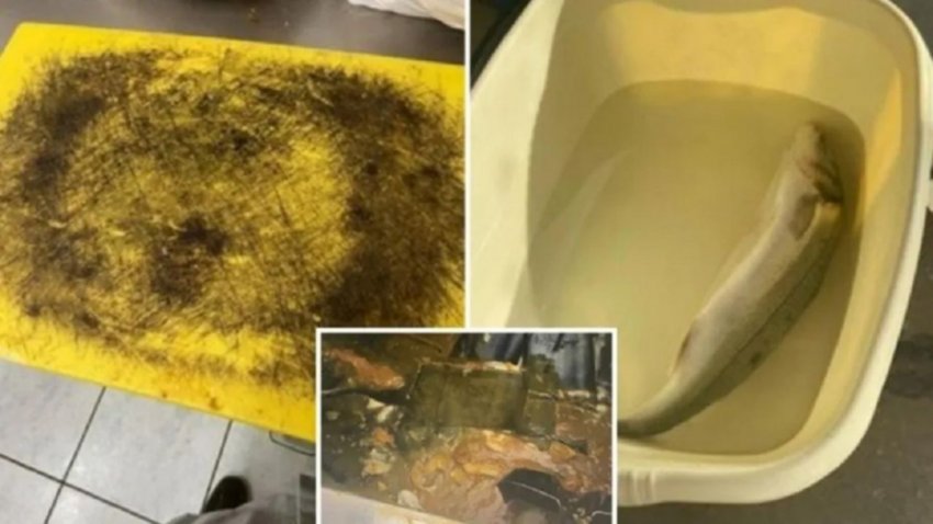 Suciedad de un restaurante causó "horror" a inspectores