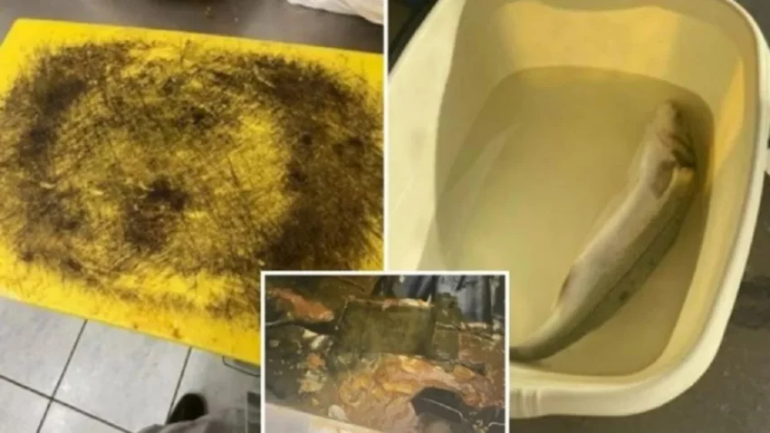 Suciedad de un restaurante causó "horror" a inspectores