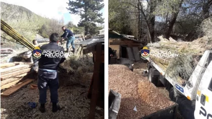 Secuestraron un importante cargamento de cañas coihues