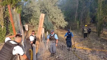 Chocaron bomberos que iban al incendio del Paseo Costero