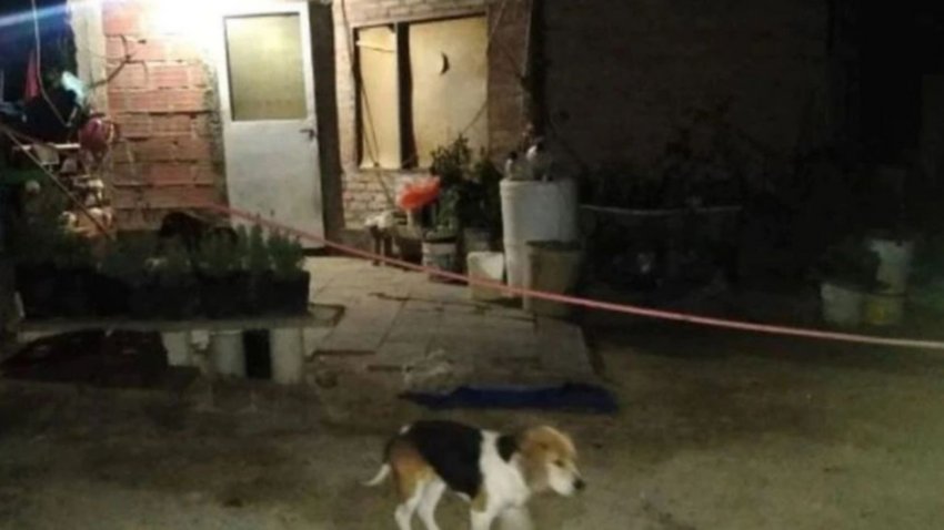 Se mandó "una macana" en Madryn: mató a la suegra