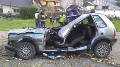 Iban en auto y los aplastó un álamo en la Ruta 40