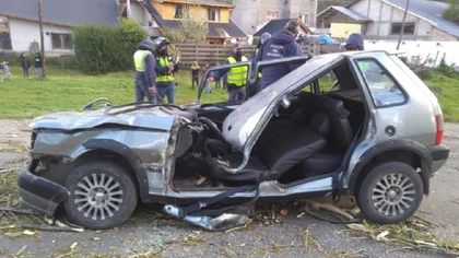 Iban en auto y los aplastó un álamo en la Ruta 40