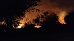 Un voraz incendio se descontroló por el viento