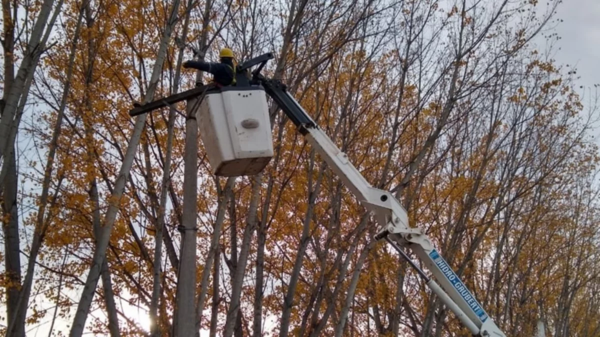 Robaron cables y dejaron sin luz y agua a Villa Regina