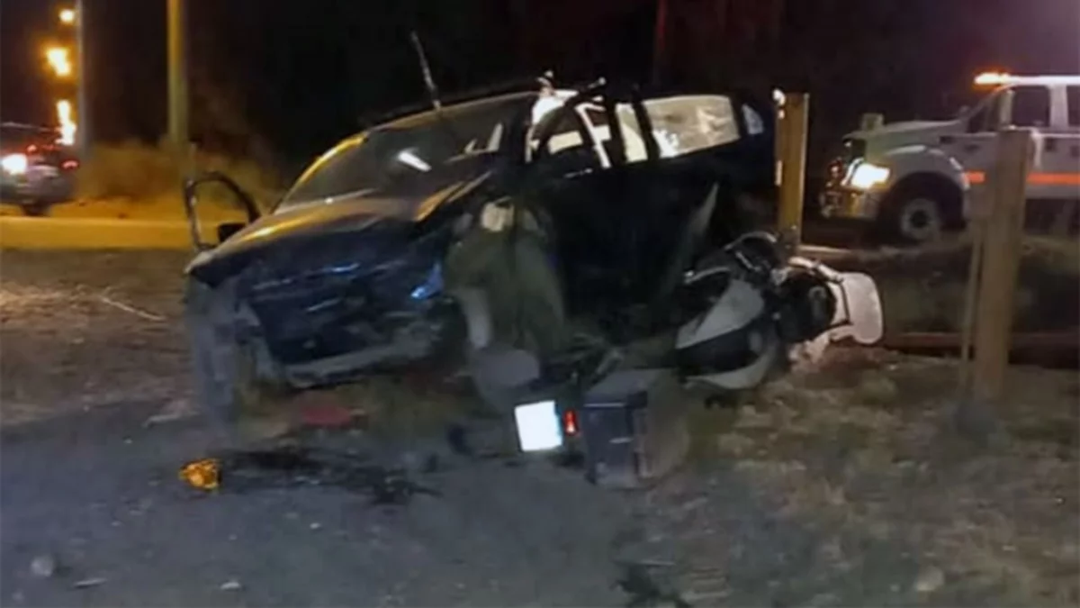 Cruzó la ruta sin mirar, lo chocaron y murió