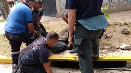 Veinte horas trabajando para sacar un perro de la alcantarilla