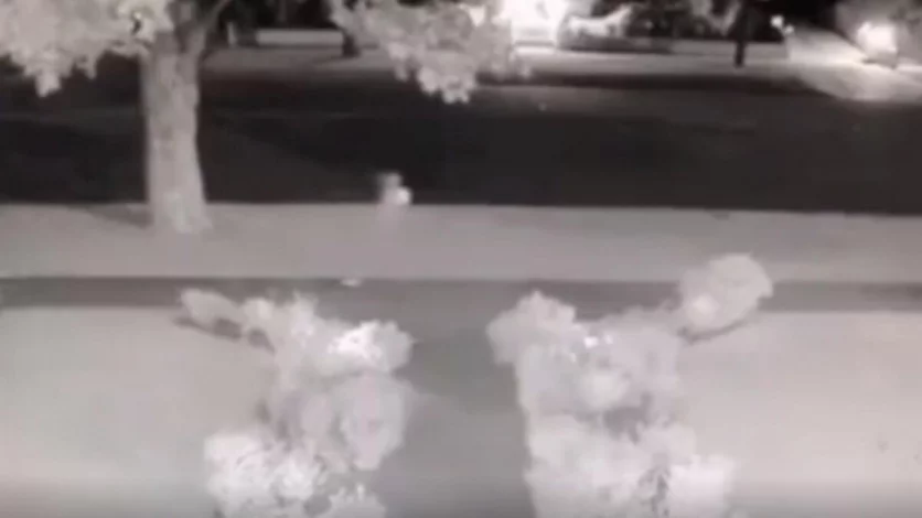 Vecino muerto continúa paseando por su barrio