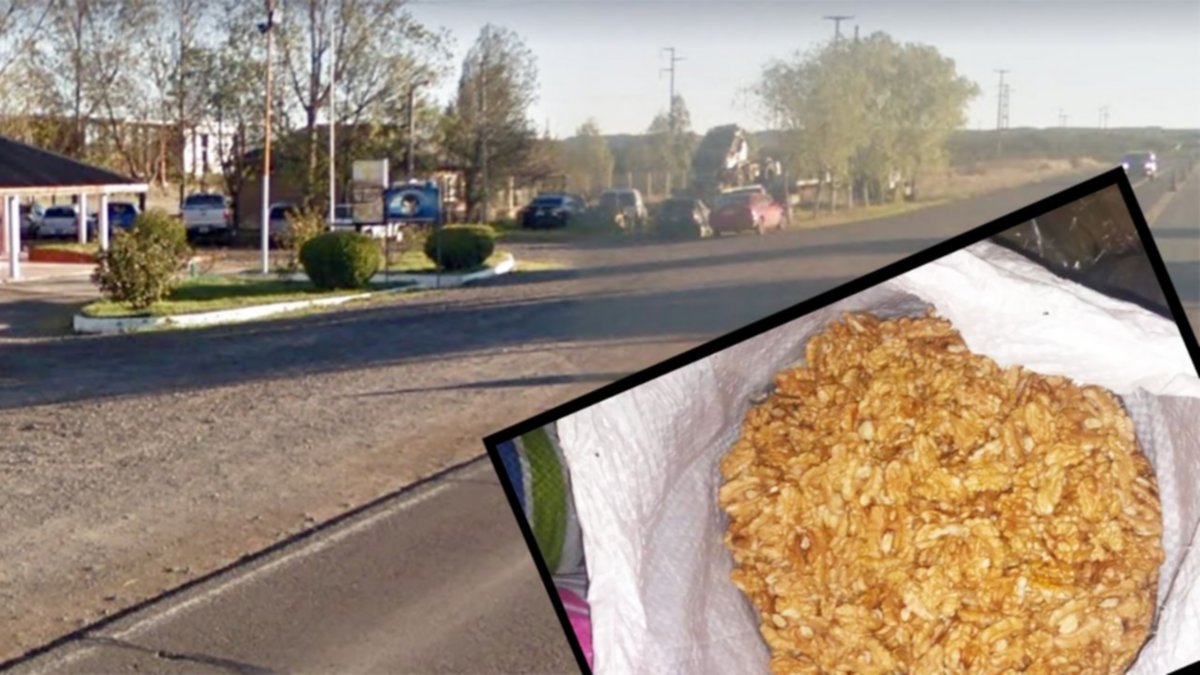 Un cipoleño llevaba nueces en bolsas de abono