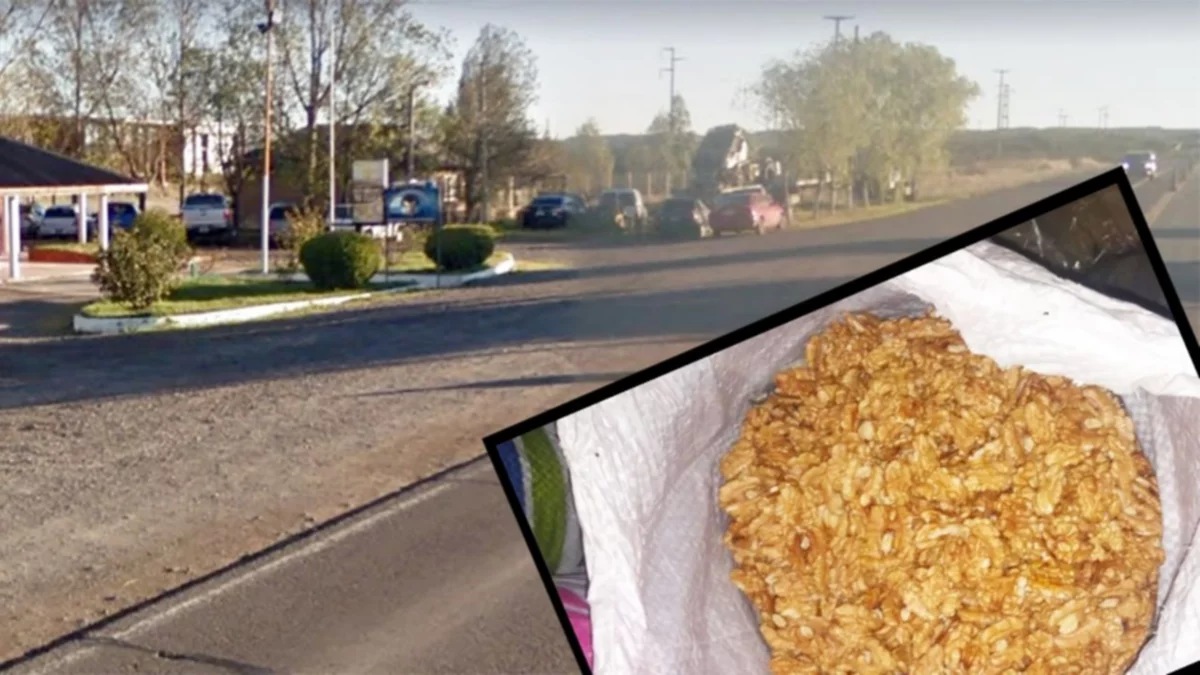Un cipoleño llevaba nueces en bolsas de abono