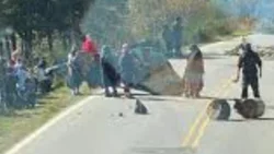 Mapuches cortaron la ruta 40 en Mascardi