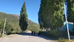 El joven mapuche fue ultimado de un disparo en el tórax