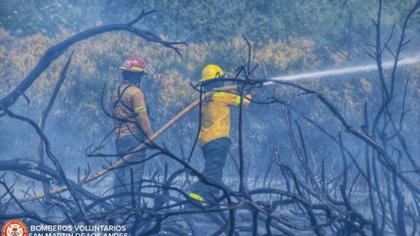 Alarma por incendio de pastizales en San Martín de los Andes