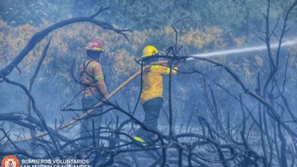 Alarma por incendio de pastizales en San Martín de los Andes