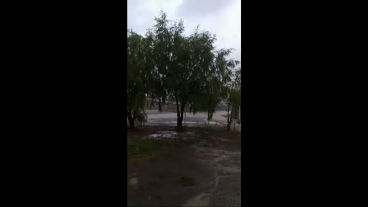 Video: nieva en Buta Ranquil... ¡En diciembre!