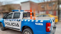 Neuquino imputado por asesinar a un perro a puñaladas