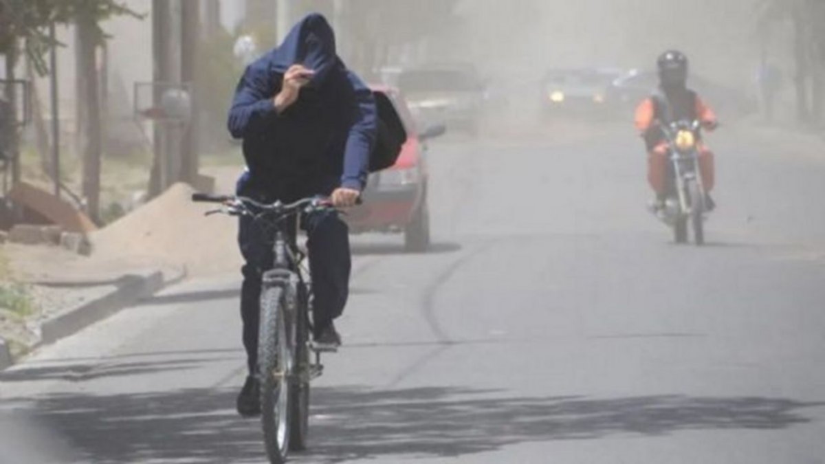 ¡Agarrate! se esperan fuertes vientos en Neuquén