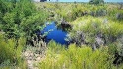 Oldelval: se derramaron 3 millones de litros de petróleo