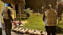 Transportaba chivos faenados en cajas de cartón