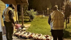 Transportaba chivos faenados en cajas de cartón