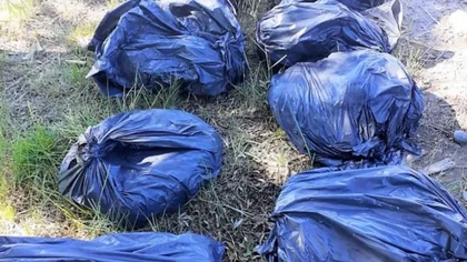 Quemaron más de 100 kilos de carne "ilegal" en Valle Azul
