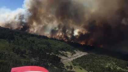 Brigadistas combaten importante incendio en Aluminé