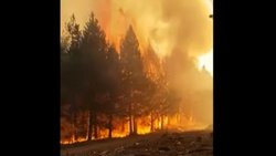 El fuego sigue sin control en Aluminé
