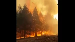 El fuego sigue sin control en Aluminé