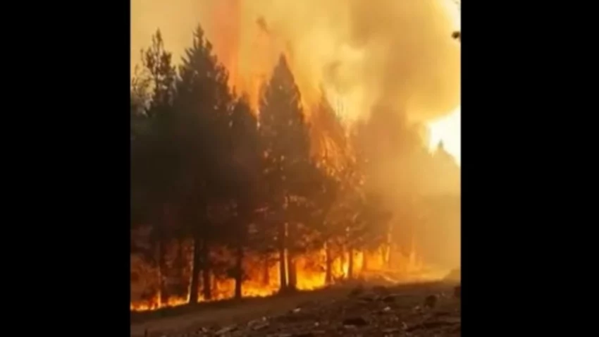 El fuego sigue sin control en Aluminé