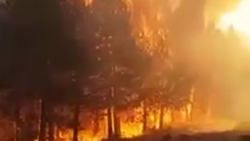 Se espera que la lluvia alivie el fuego y la angustia