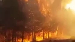 Se espera que la lluvia alivie el fuego y la angustia