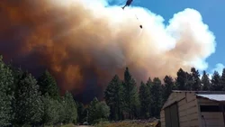 Emergencia por el fuego en Neuquén, por 180 días