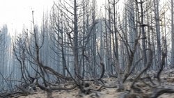 Desde el fuego, Neuquén avisa: no aumentará impuestos