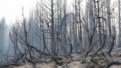 Desde el fuego, Neuquén avisa: no aumentará impuestos