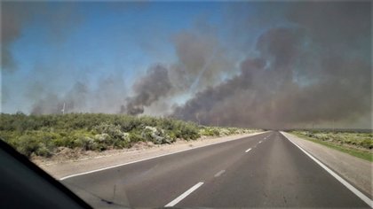 Incendio afecta a 200 hectáreas en Chimpay