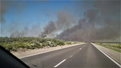Incendio afecta a 200 hectáreas en Chimpay