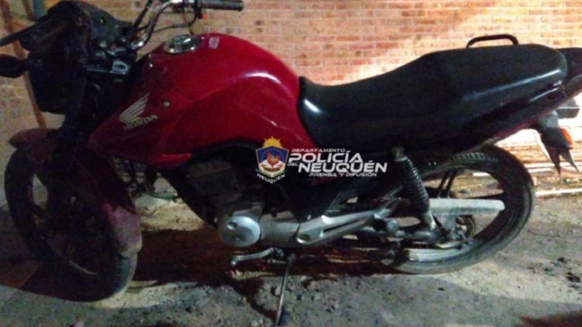 Cayeron conocidos ladrones tras un corto raid delictivo