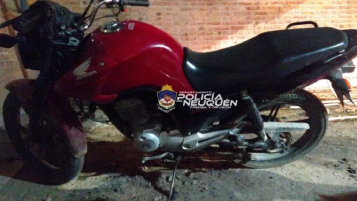 Cayeron conocidos ladrones tras un corto raid delictivo