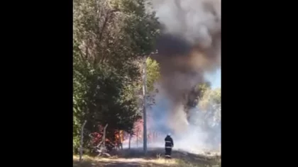 Un incendio dejó sin energía a la villa del lago Pellegrini