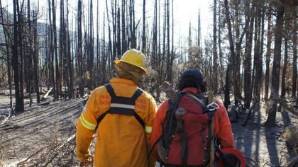 Crónica de un pueblo unido para combatir el fuego