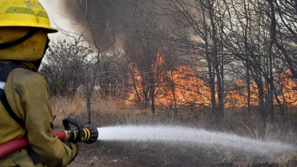 Quemaban basura y provocaron un enorme incendio forestal