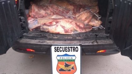 Llevaba media tonelada de carne en la caja de la camioneta