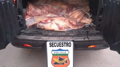 Llevaba media tonelada de carne en la caja de la camioneta