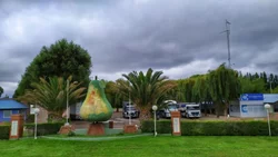 Camioneros no será parte de la Fiesta de la Pera, por Covid