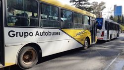 Insisten con estatizar a la "parasitaria" Autobuses Neuquén