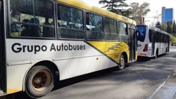 Insisten con estatizar a la "parasitaria" Autobuses Neuquén