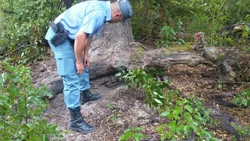Enorme susto: cayó un rayo en el patio de una casa