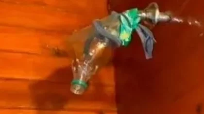 Alquilaron una cabaña y cuando se fueron a bañar.... ¡Sorpresa!