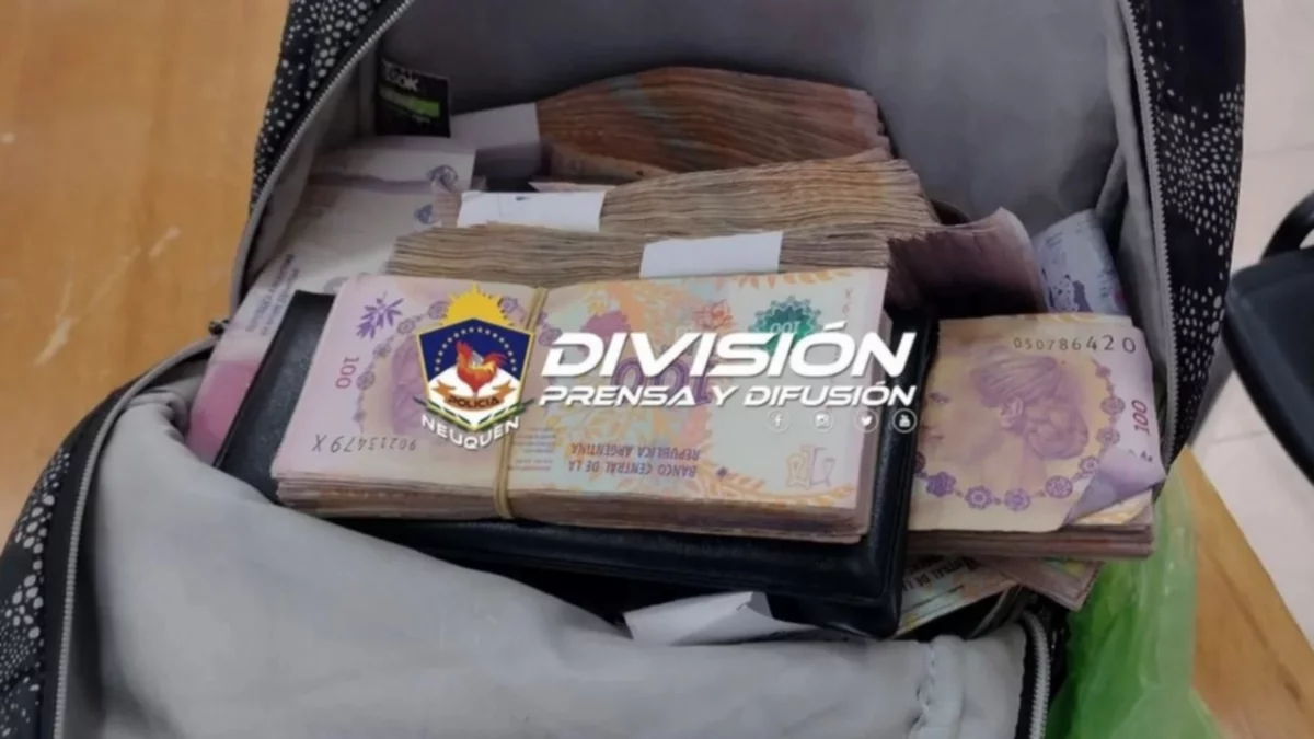 Regresaron a la cárcel al ladrón de los millones