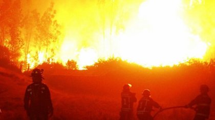 De qué se trata la Ley de Fuego derogada por Milei